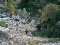 1998 templiers cevennes11