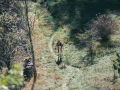 1999 templiers cevennes1