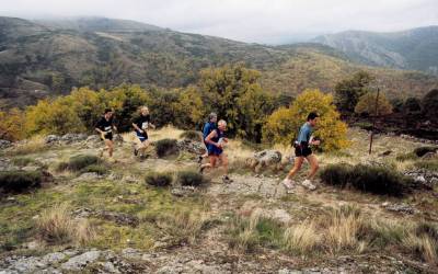 2001 templiers cevennes1