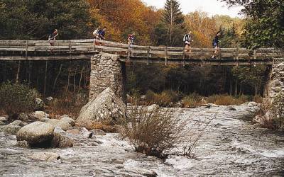 2001 templiers cevennes17