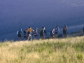 2002 templiers cevennes3