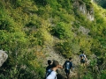 2005 templiers cevennes3