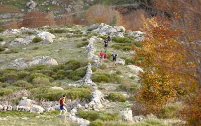 2006 templiers cevennes18