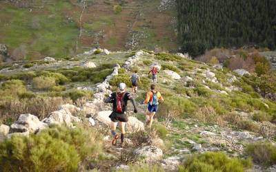 2006 templiers cevennes19