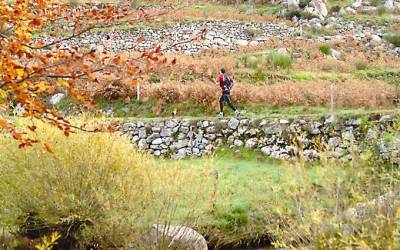 2006 templiers cevennes21