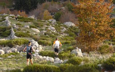 2006 templiers cevennes26