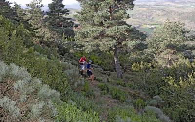 2006 templiers cevennes28