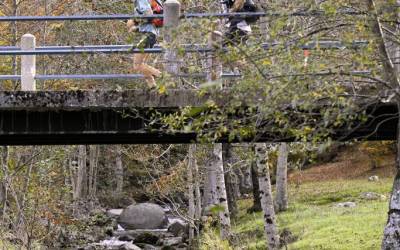 2006 templiers cevennes36