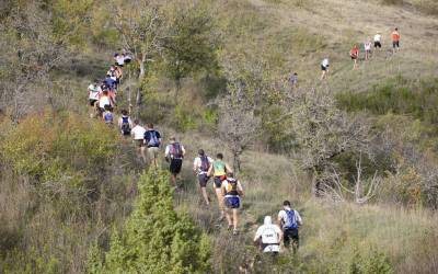 2006 templiers cevennes4