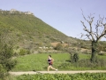 2006 templiers cevennes1