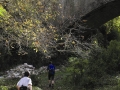 2006 templiers cevennes11