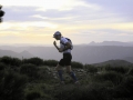 2006 templiers cevennes6