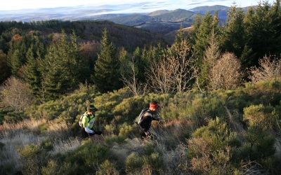 2007 Templiers Cévennes 1