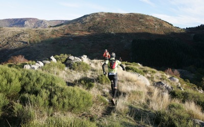 2007 Templiers Cévennes