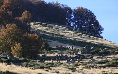 2007 templiers Cévennes 6