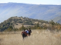 2007 Templiers Causse 1