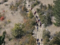 2007 Templiers Causse 4