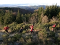 2007 Templiers cévennes 2