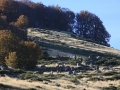 2007 templiers Cévennes 6