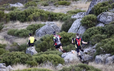 2009 Templiers Cévennes 1