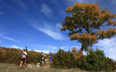 2009 Templiers Causse 17