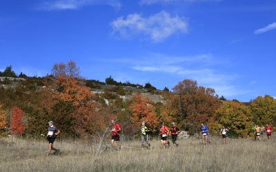 2009 Templiers Causse 18