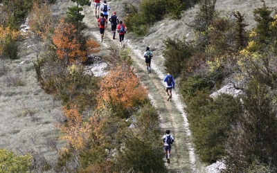 2009 Templiers Causse 2