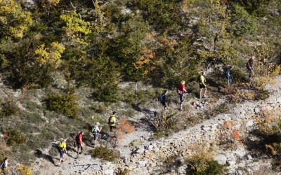 2009 Templiers Causse 8