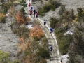 2009 Templiers Causse 2