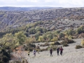 2009 Templiers Causse 5