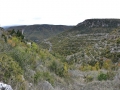 templiers 17
