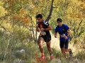 sélection courses samedi 1
