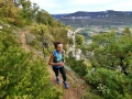 sélection courses samedi 21