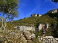 sélection courses samedi 7