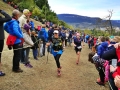 samedi amabiance 31
