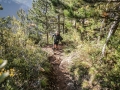 endurance trail 35