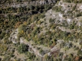 endurance trail 36