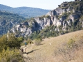 Belle vue sur les gorges de la Dourbie