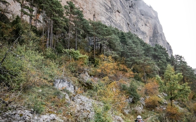 ©Cyrille-quintard-templiers2025-R6K20403