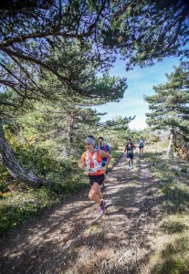 Trail des Troubadours Templiers