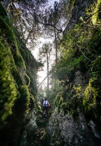 VO2 Trail Templiers