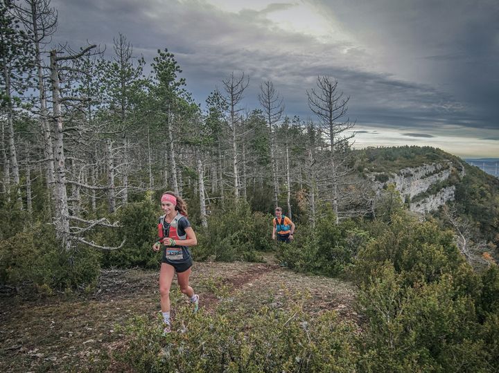MARATHON des CAUSSES et du LARZAC